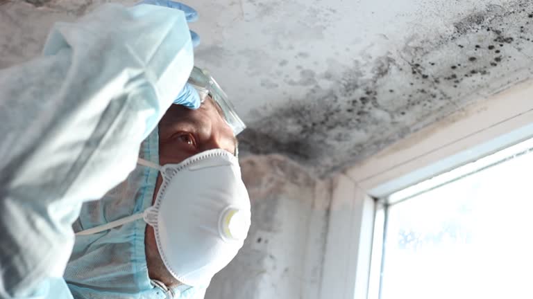 Biohazard Mold Removal in Weston, FL